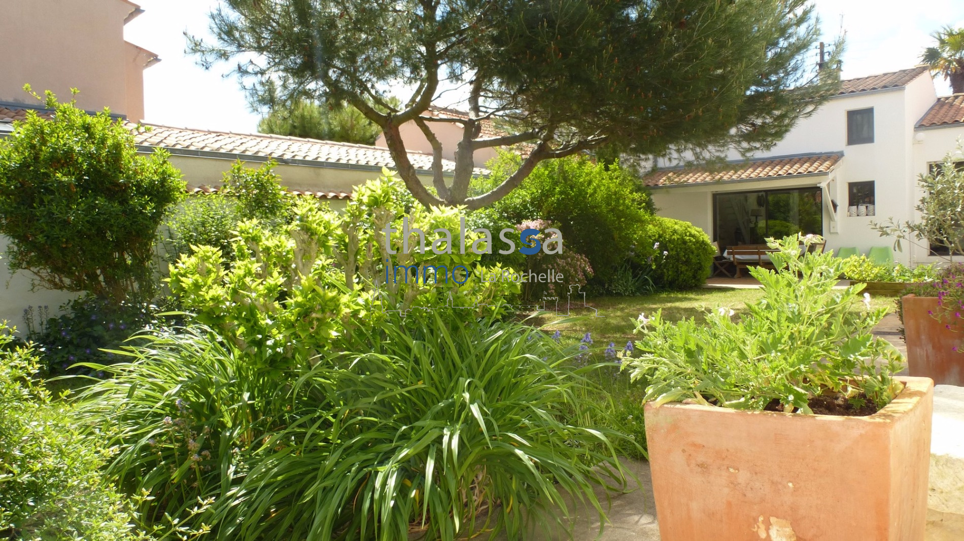 Thalassa Immo La Rochelle et environs